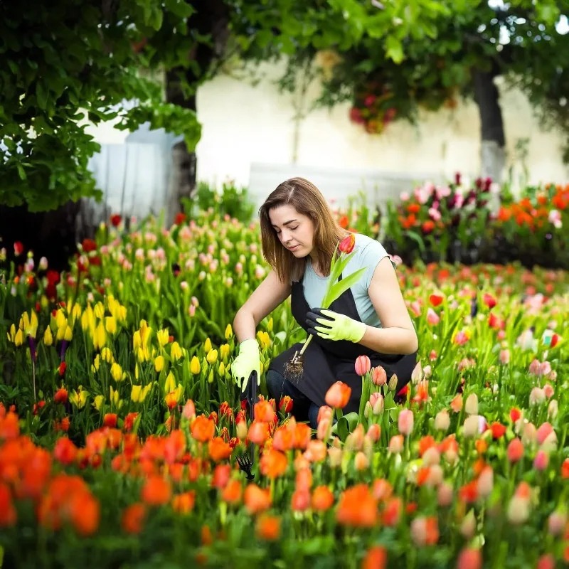 Садовый инструмент 2-в-1: ручн – обзор и цена Gardening Tools To Remove Weeds