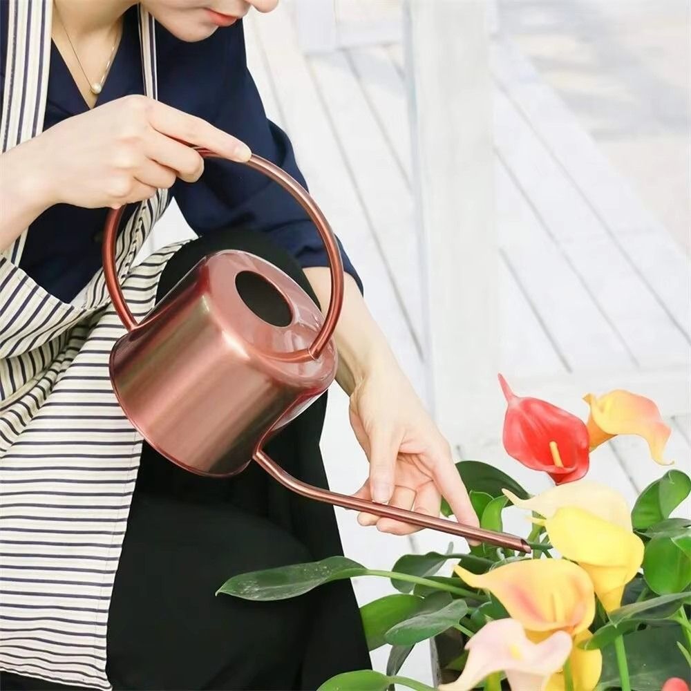 Лейка для растений 1,3 л из не – обзор и цена Watering Can Long Spout