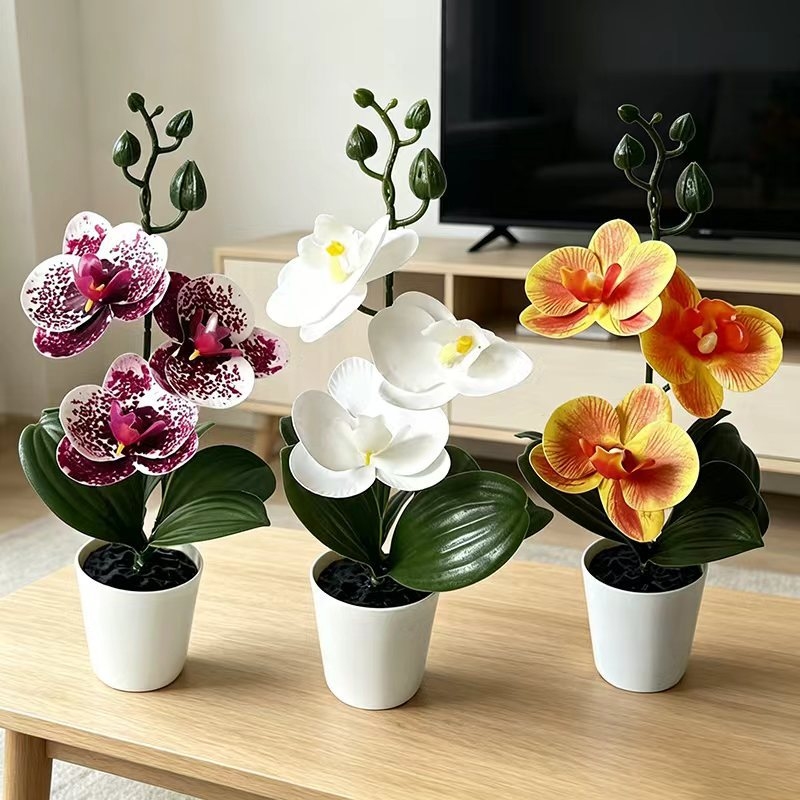 Мини-орхидея-бабочка в горшке  – обзор и цена Orchid Potting Mix