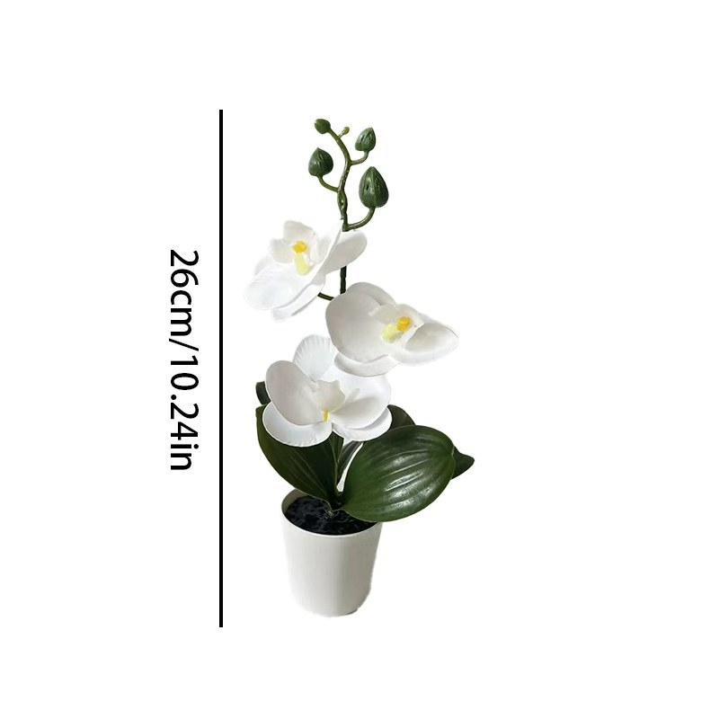 Мини-орхидея-бабочка в горшке  – обзор и цена Orchid Potting Mix