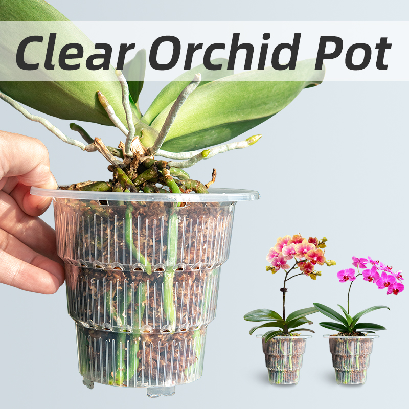 Прозрачные пластиковые горшки  – обзор и цена Orchid Potting Mix