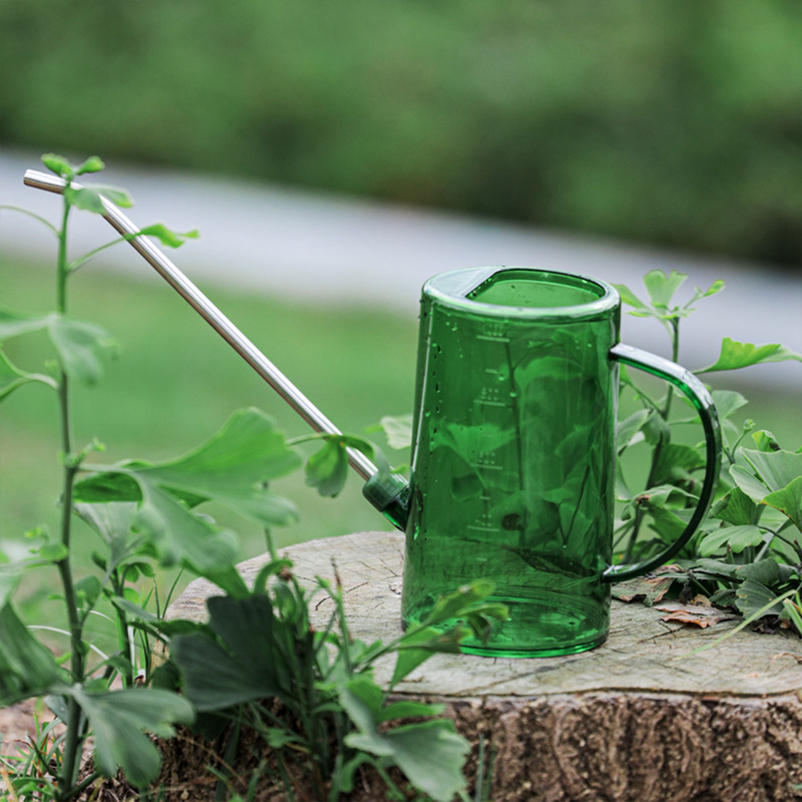 Лейка для комнатных растений 1 – обзор и цена Watering Can Long Spout