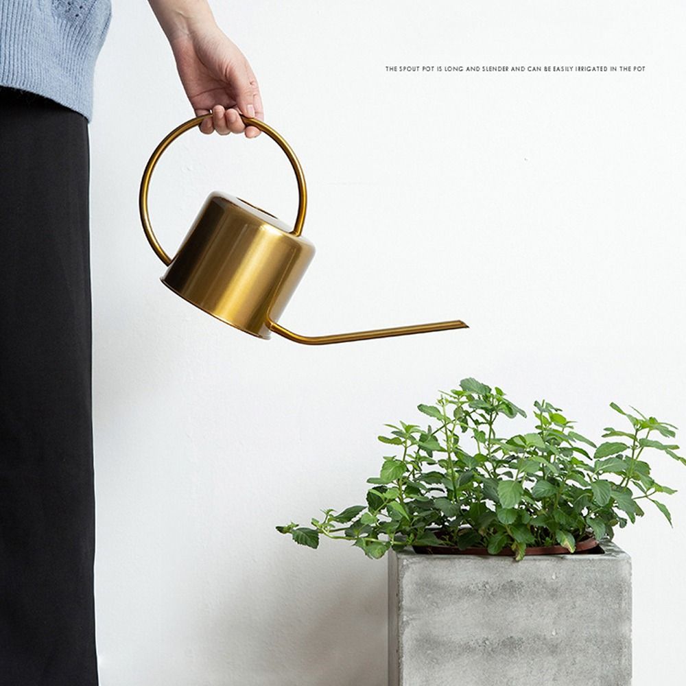 u Высокое качество 1,3 л разбр – обзор и цена Watering Can Long Spout