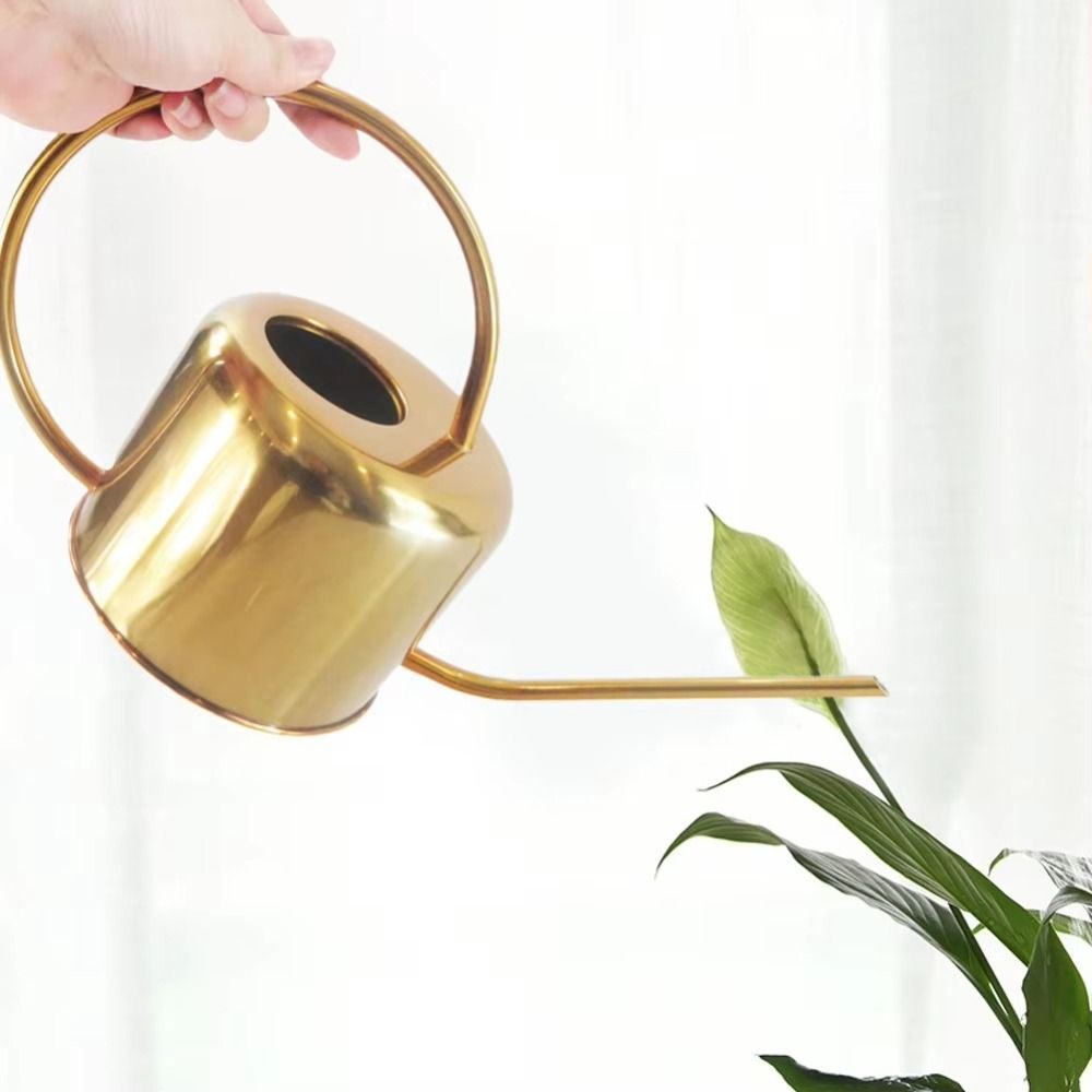 u Высокое качество 1,3 л разбр – обзор и цена Watering Can Long Spout