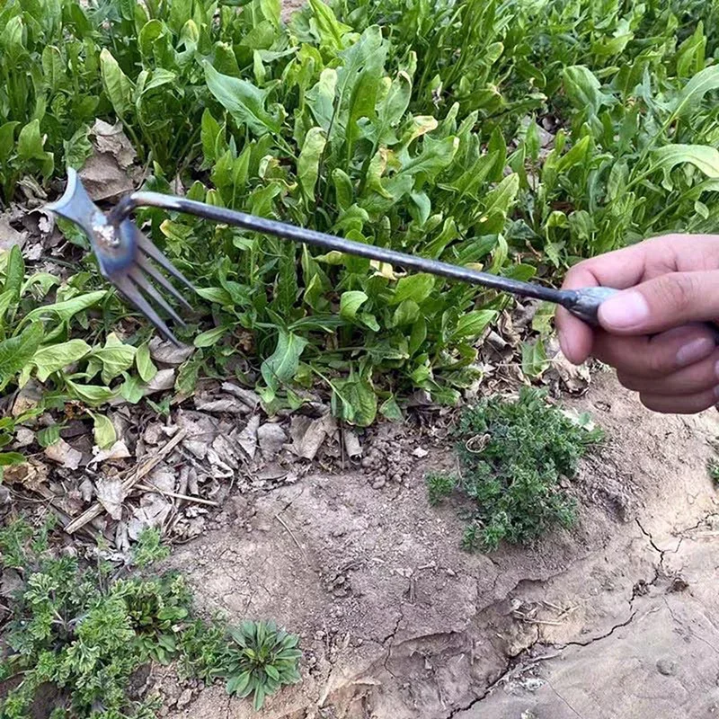 Садовый ручной прополочный инс – обзор и цена Gardening Tools To Remove Weeds