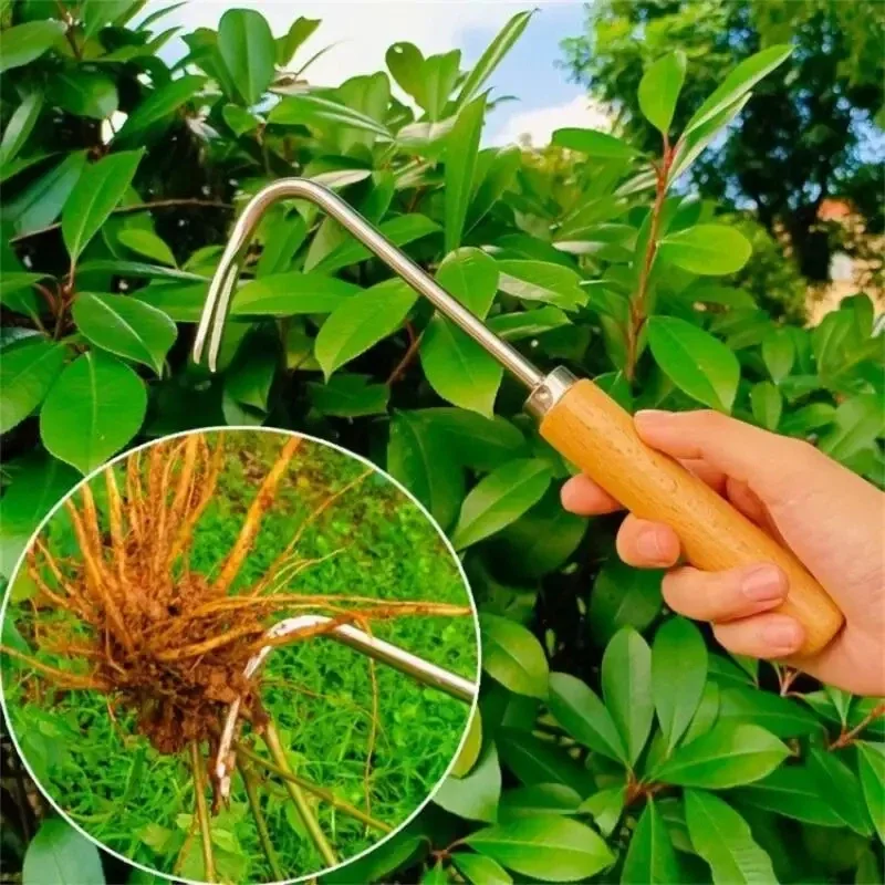 Садовая прополка из нержавеюще – обзор и цена Gardening Tools To Remove Weeds