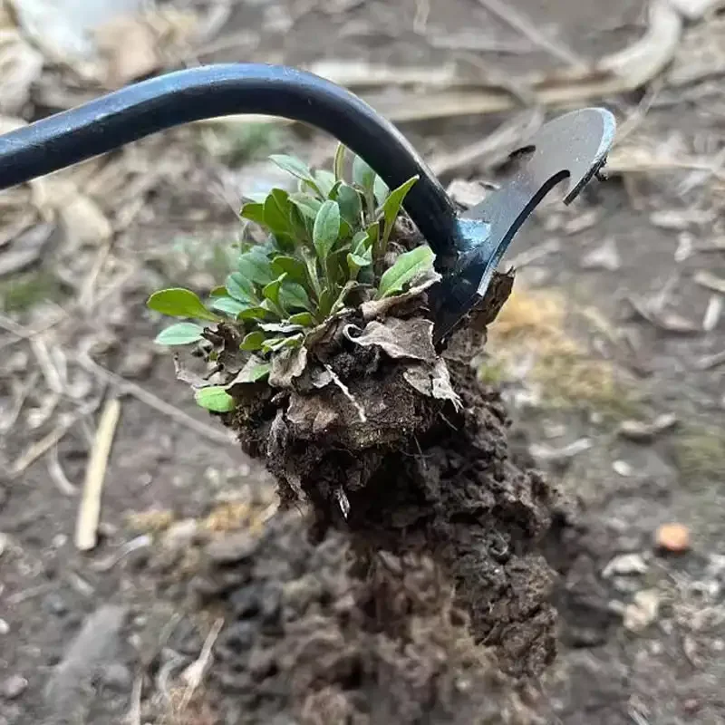 Многофункциональный садовый ин – обзор и цена Gardening Tools To Remove Weeds