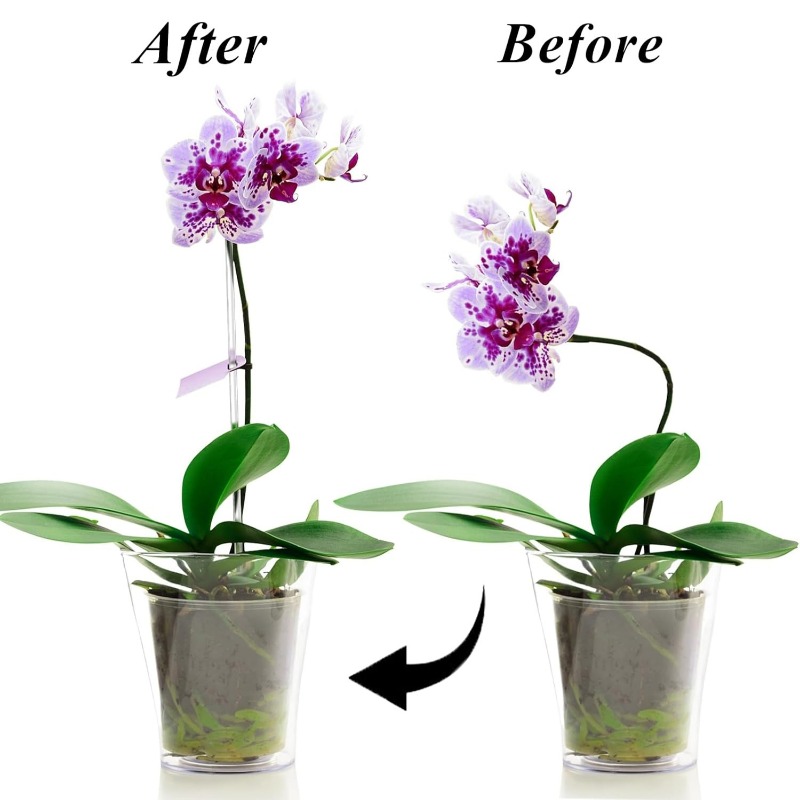 Многоразовые прозрачные акрило – обзор и цена Orchid Potting Mix