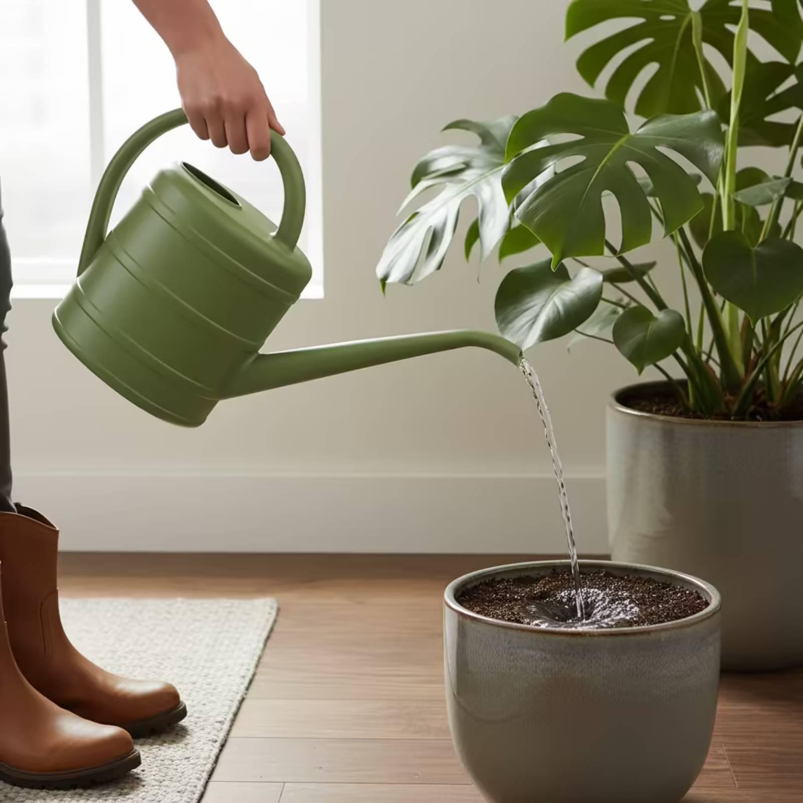 Лейка с длинным носиком, легко – обзор и цена Watering Can Long Spout