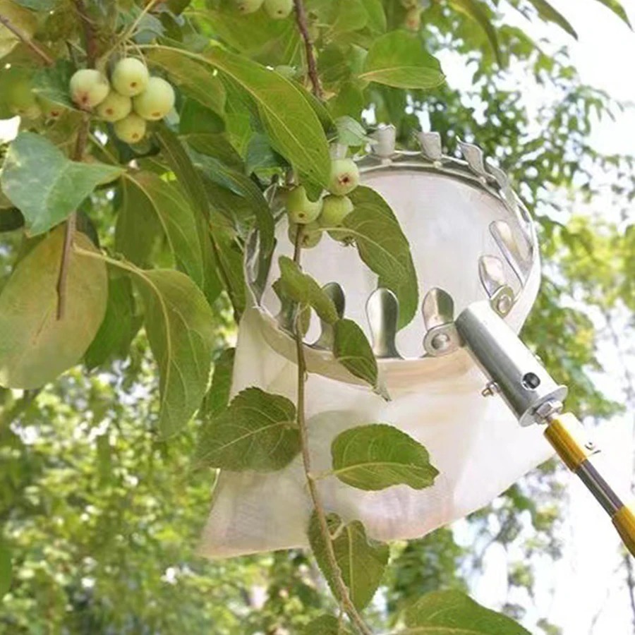 Профессиональный инструмент дл – обзор и цена Gardening Tools Organizer