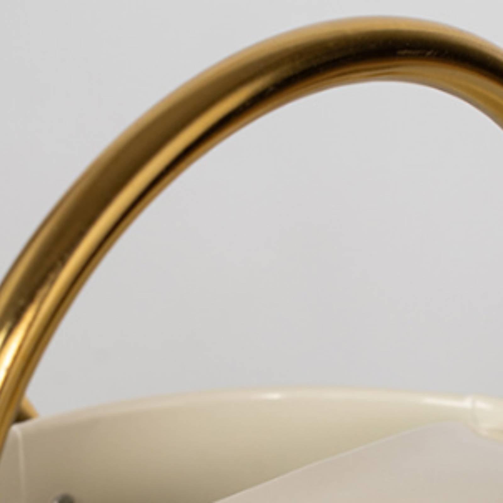 Лейка с длинным носиком, герме – обзор и цена Watering Can Long Spout