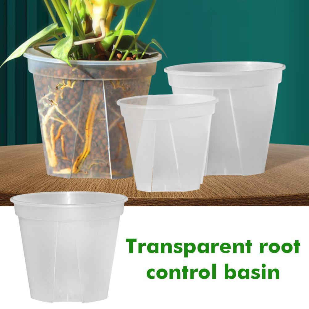 Прозрачные пластиковые горшки, – обзор и цена Orchid Potting Mix
