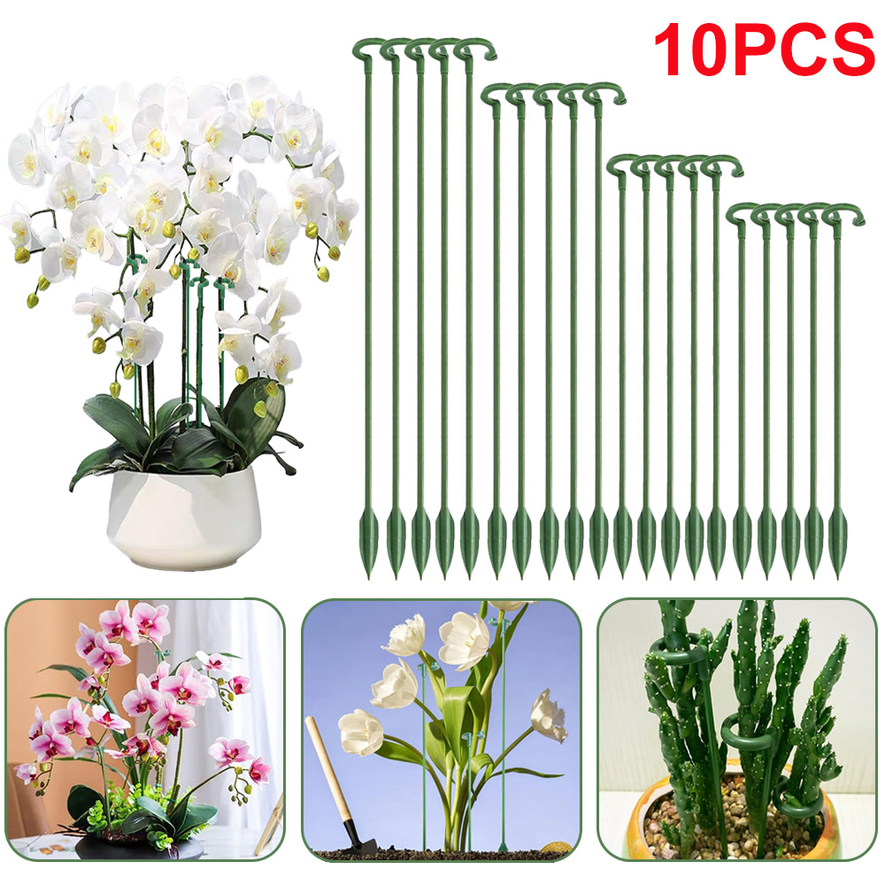 5/10 шт. опор для растений, де – обзор и цена Orchid Potting Mix