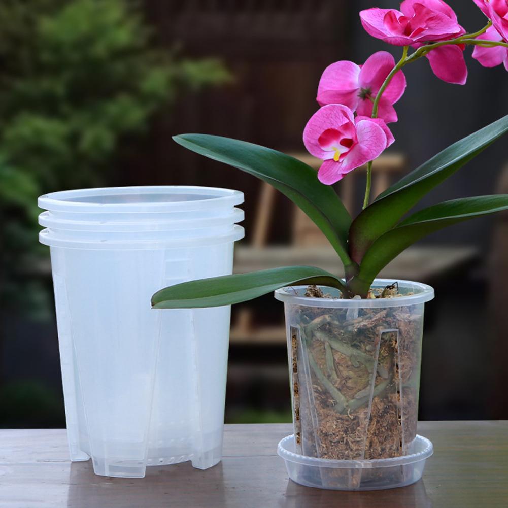 Набор из 5 прозрачных пластико – обзор и цена Orchid Potting Mix