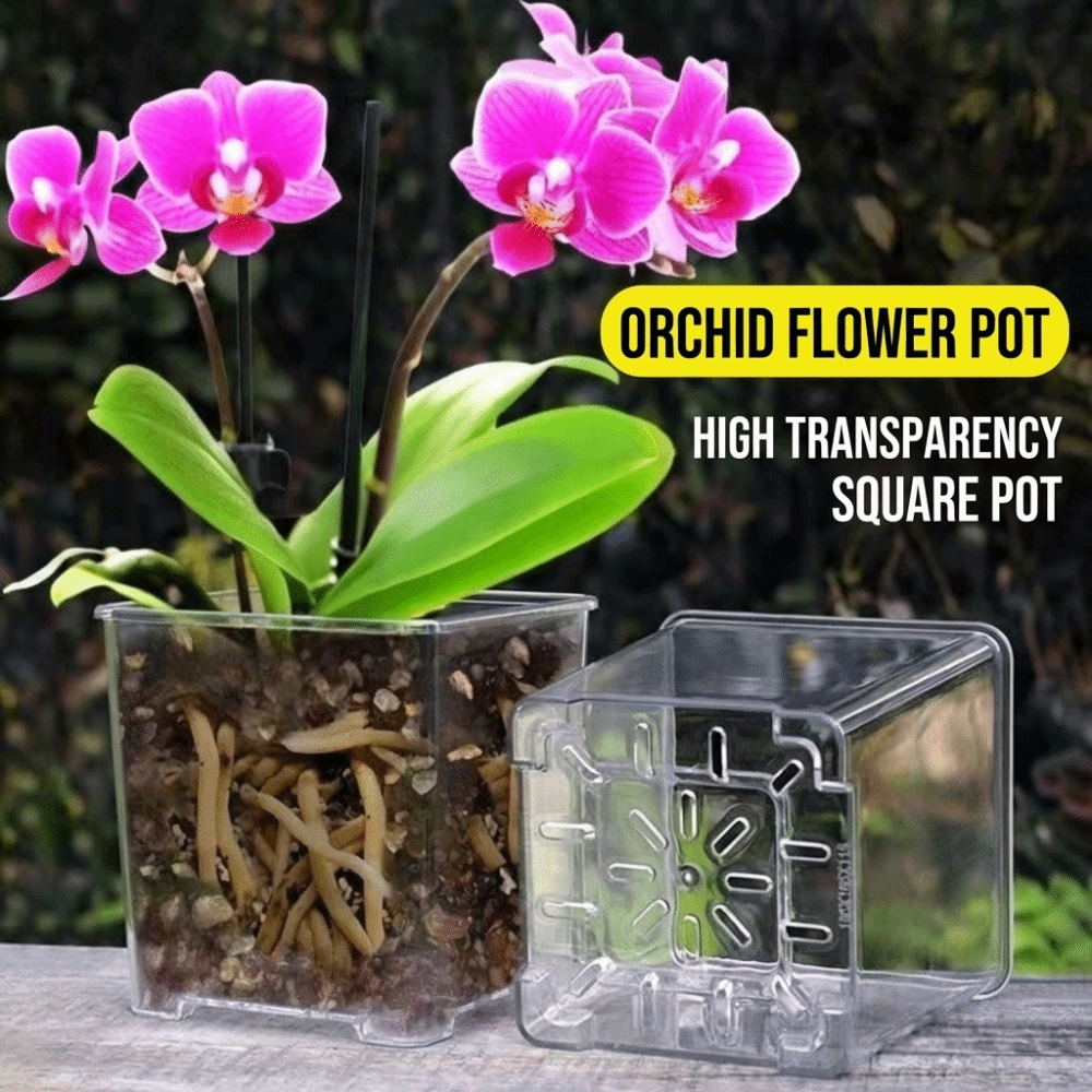 Прозрачный акриловый горшок дл – обзор и цена Orchid Potting Mix