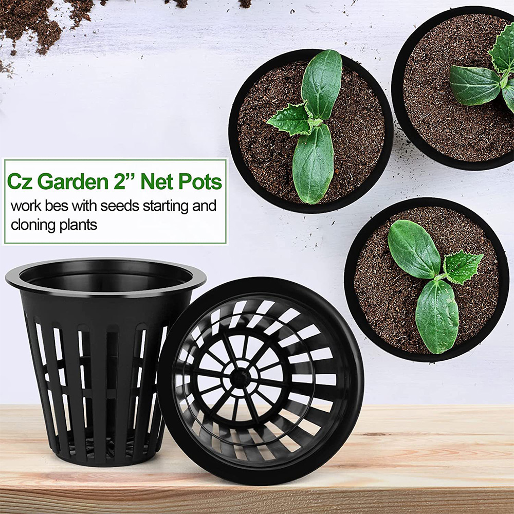 2-дюймовые садовые горшки, сет – обзор и цена Orchid Potting Mix